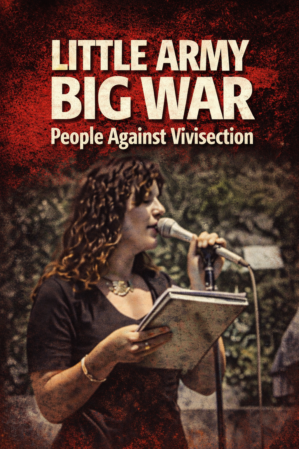 Little Army Big War poster